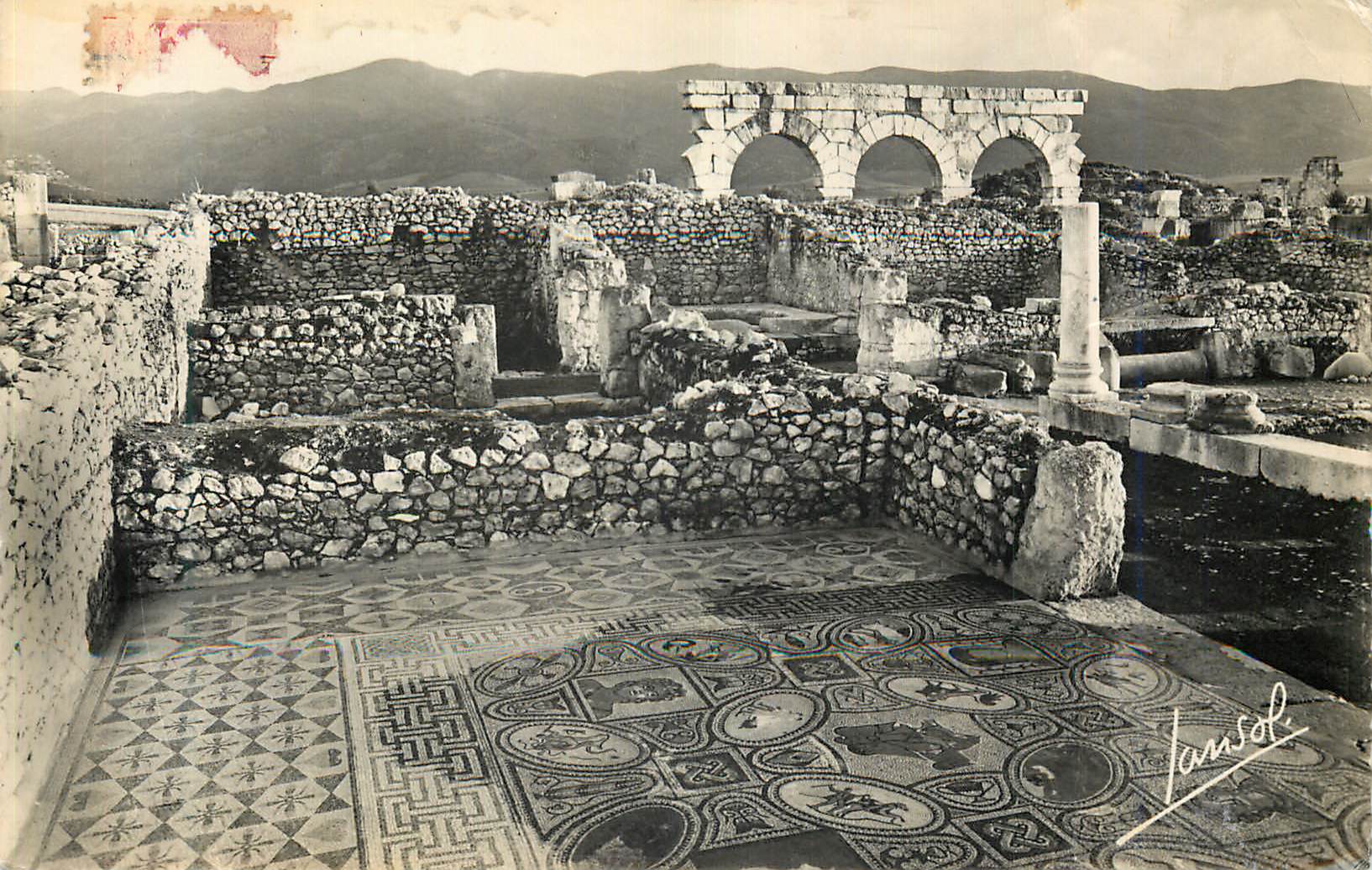 CPM Volubilis Mosaique des Traveaux d'Hercule