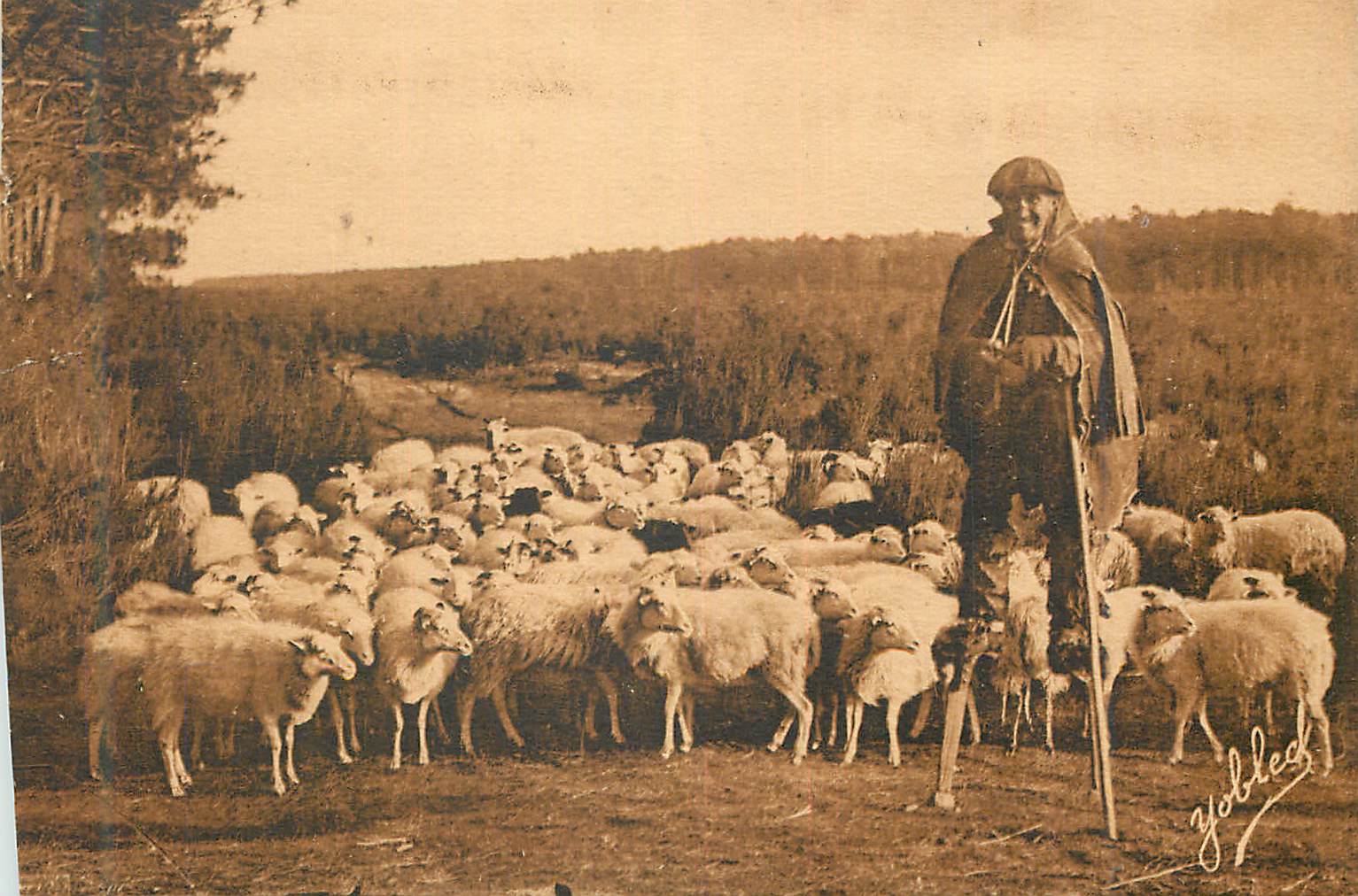 CPA Les Landes de Gascogne Berger Landass et son Troupeau