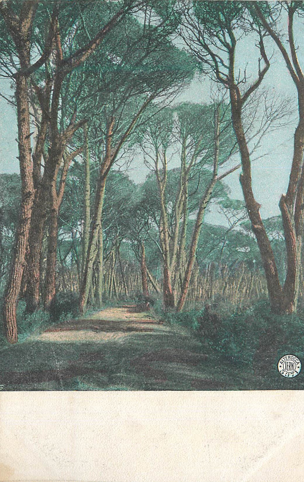 CPA Arbres