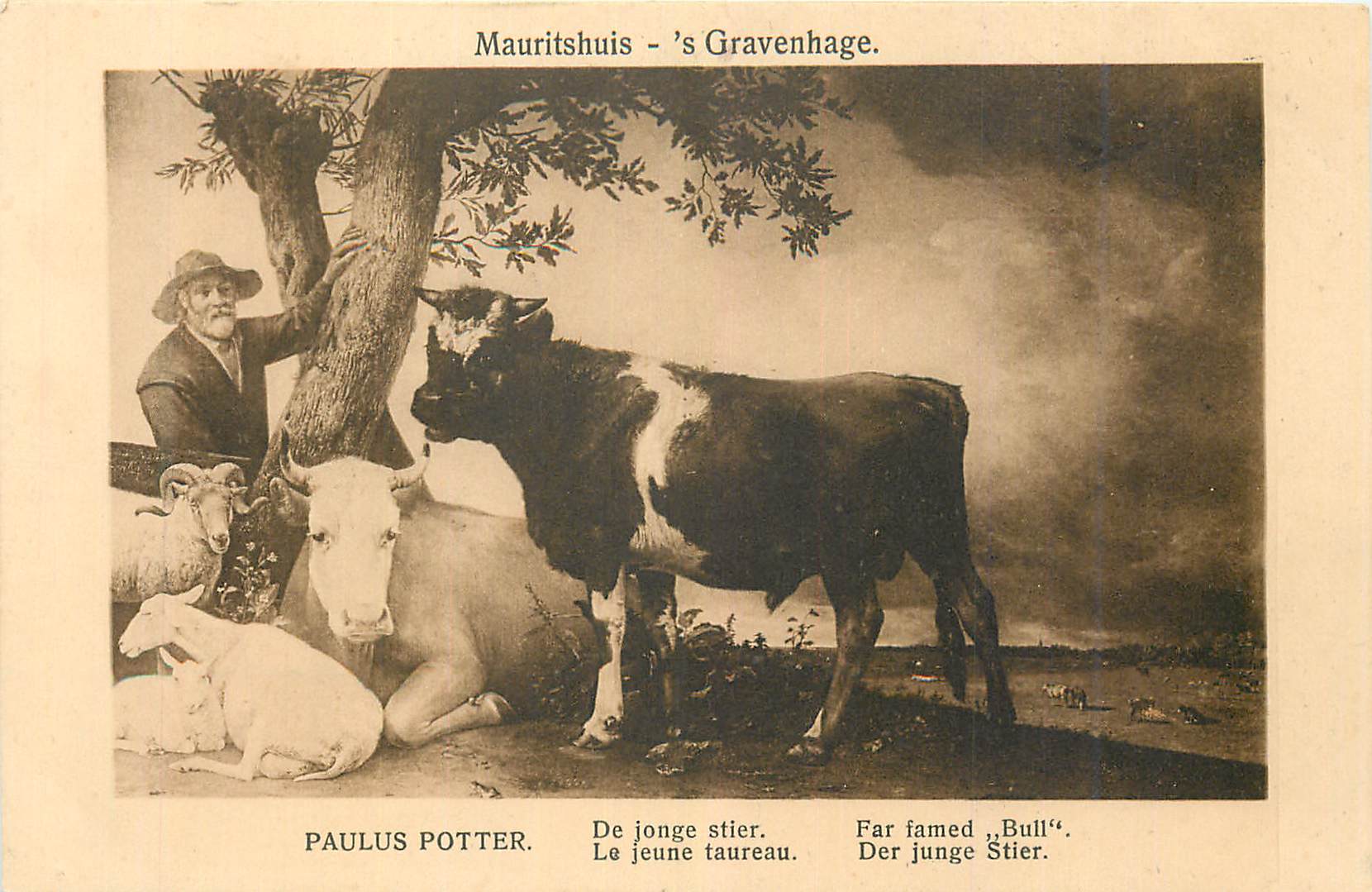 CPA Mauritshuis Gravenhage Paulus Potter Le Jeune Taureau