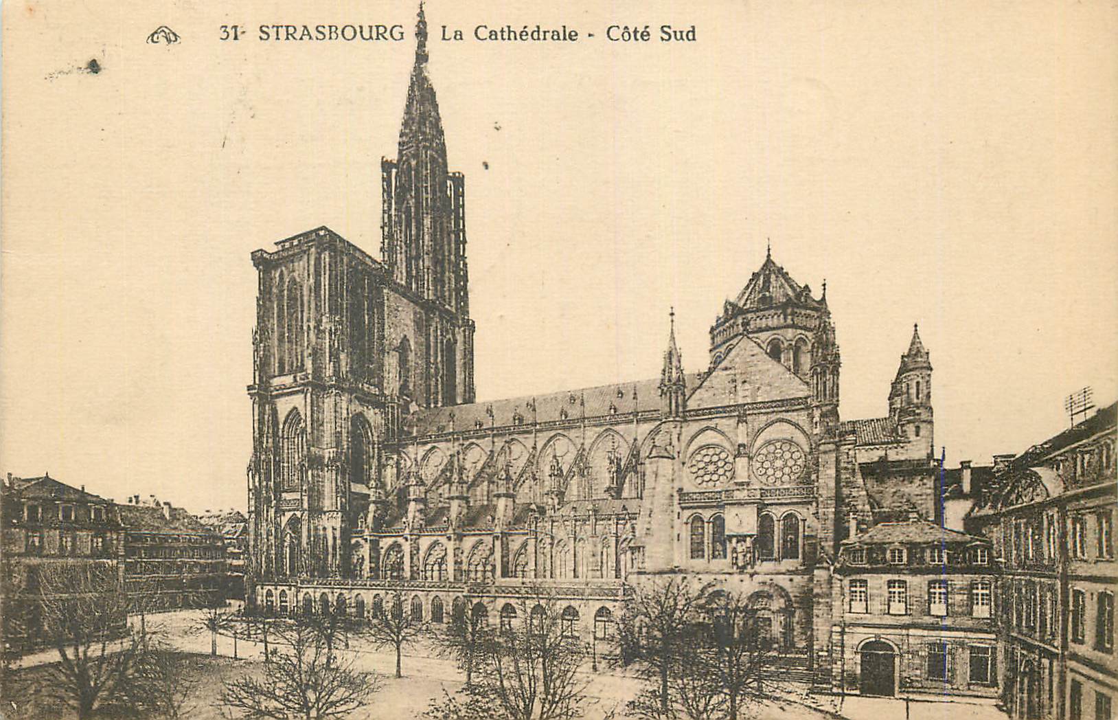 CPA Strasbourg La Cathedrale Cote Sud
