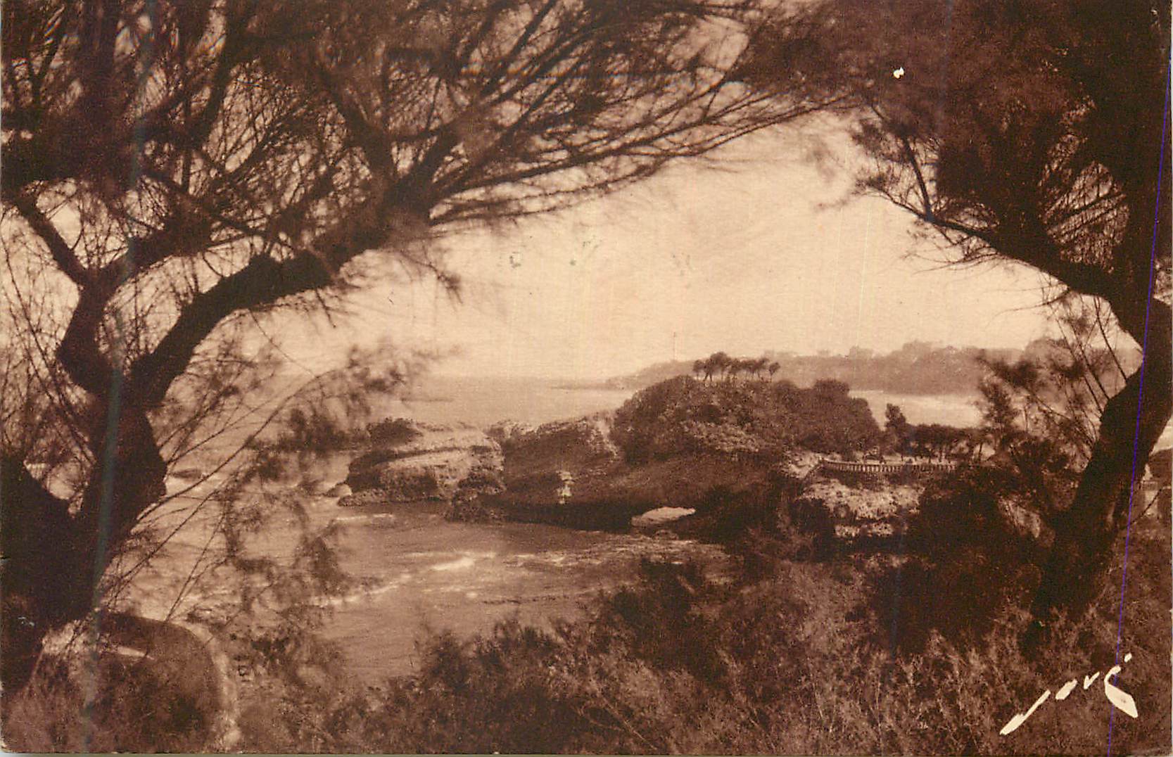 Vue de la côte — vue prise depuis un promontoire arboré — Jové