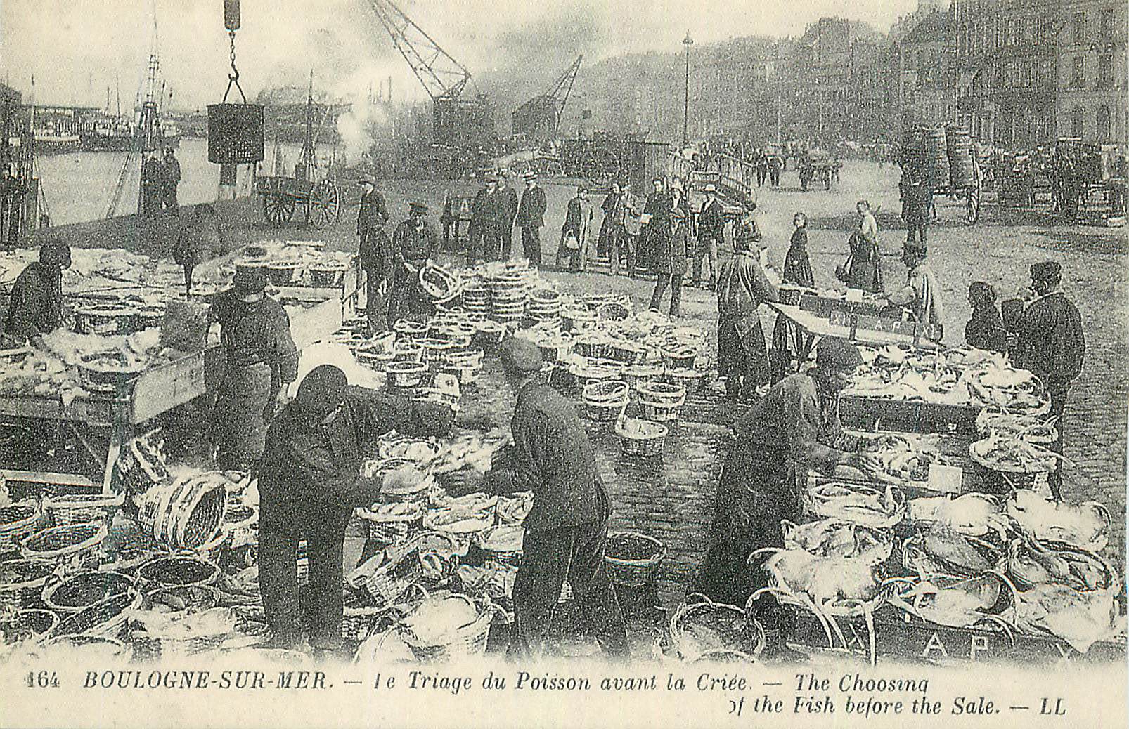Boulogne-sur-Mer — Triage du Poisson avant la Criée — AP — n° 164
