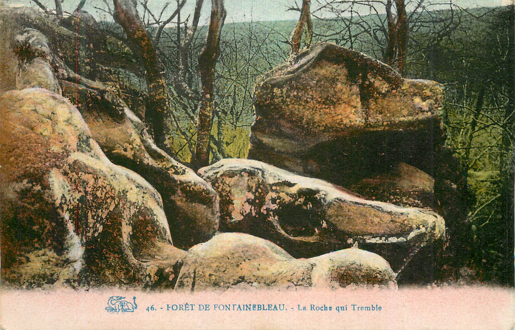 Bosque de Fontainebleau — La Roche qui Tremble — n°46