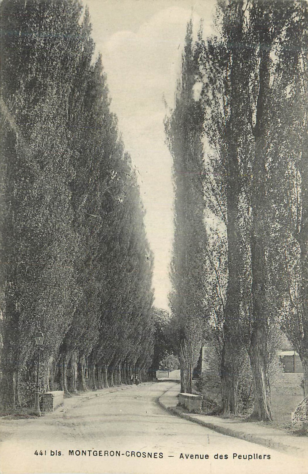 CPA Montgeron Crosnes Avenue des Peupllers