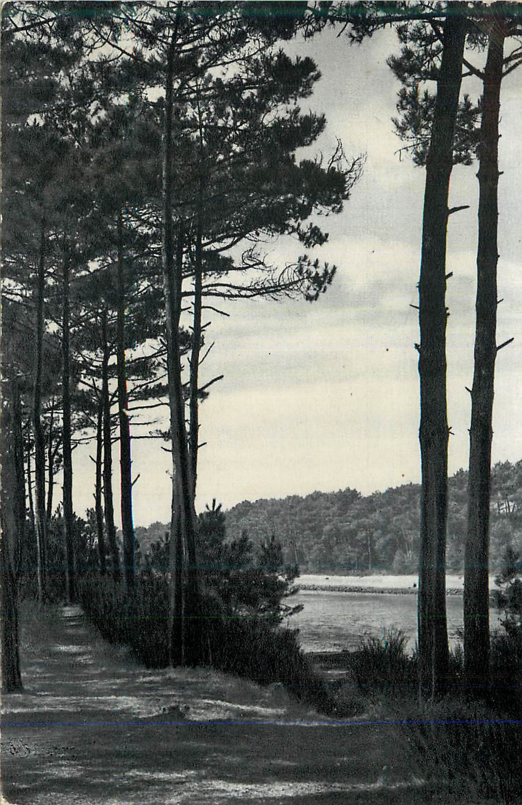CPM Foret