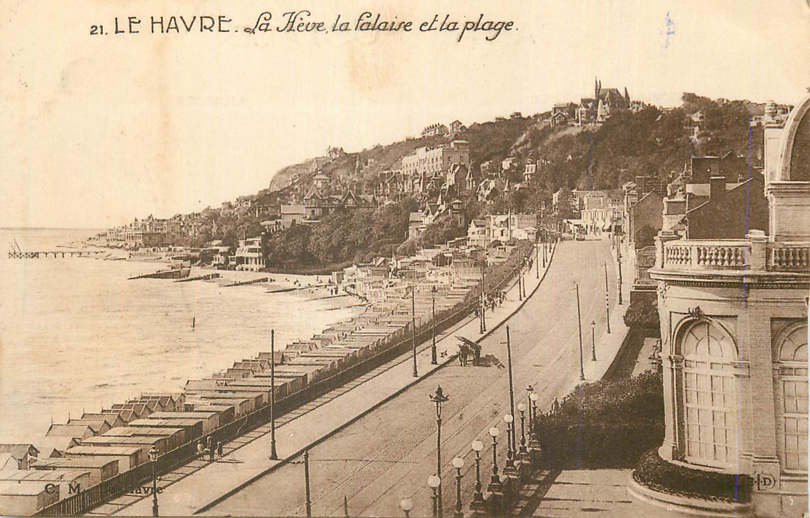 CPA Le Havre La Heve La Falaise et la Plage