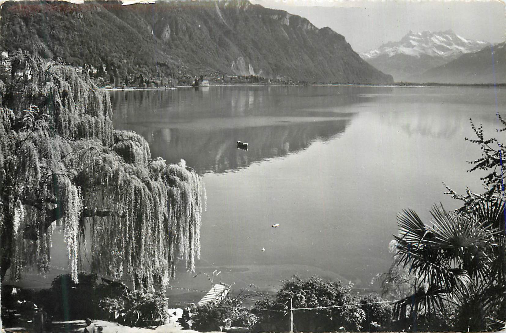 CPM Montreux Le Lac et les Dents du Midi