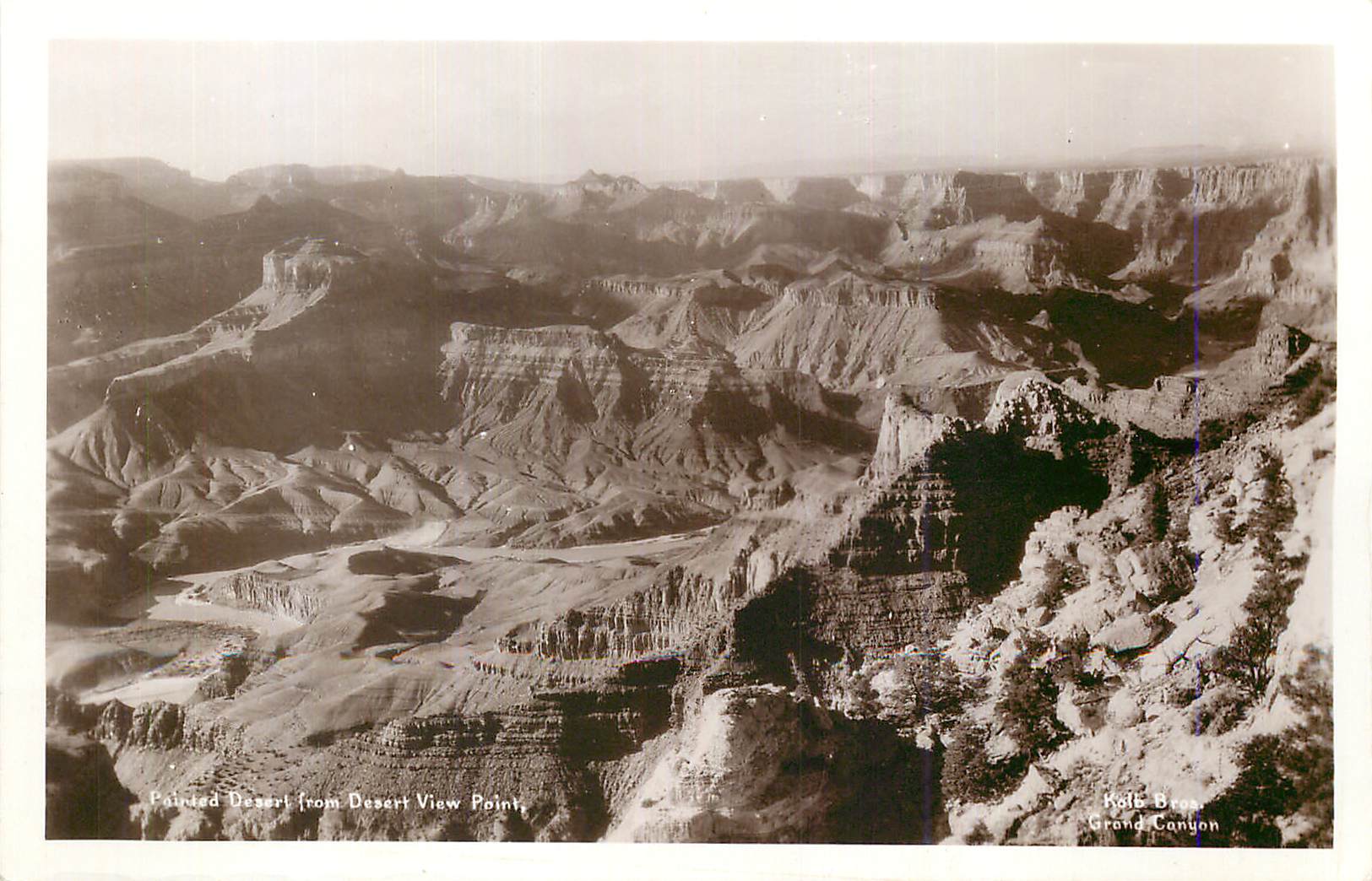 CPM Desert View Point