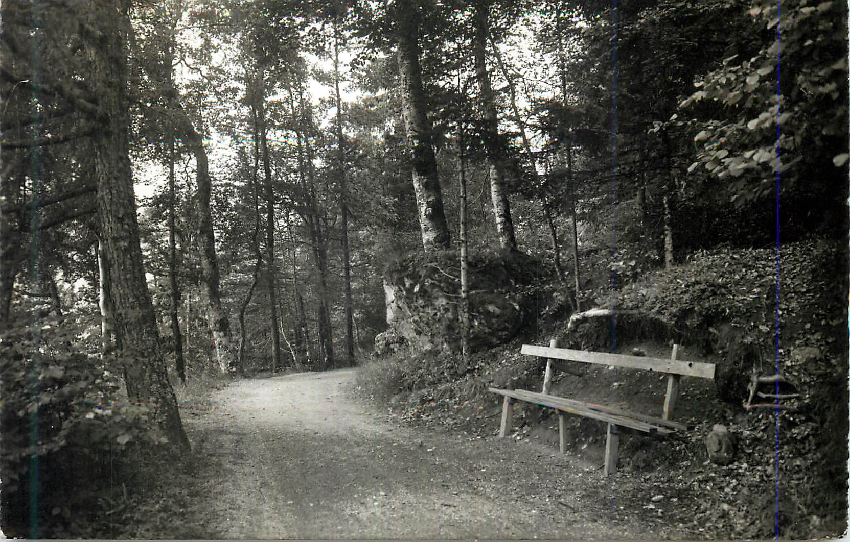 CPM Le Chemin des Dames entre Les Marecottes et les Granges Militaria