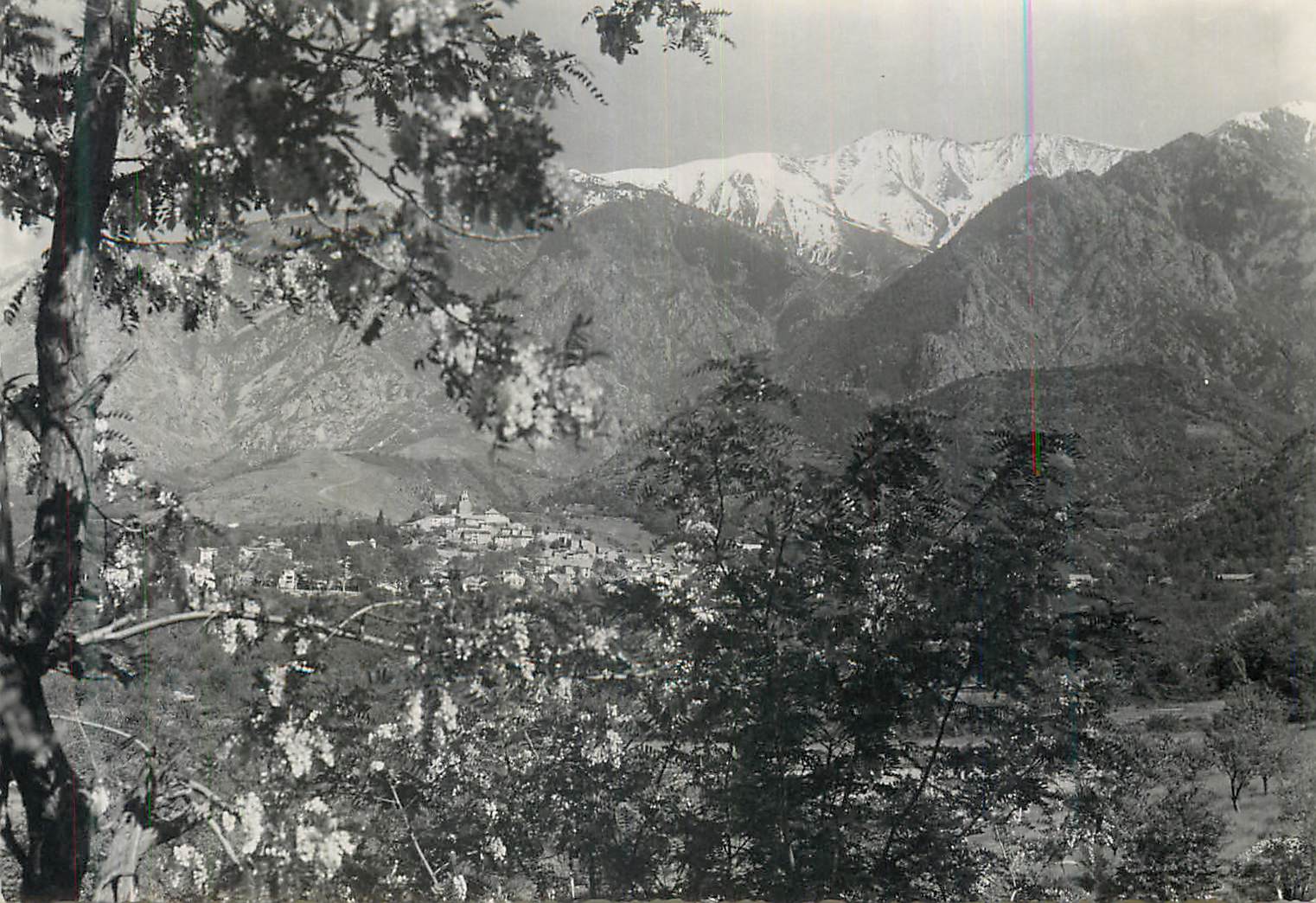 CARTE PHOTO Vernet les Bains
