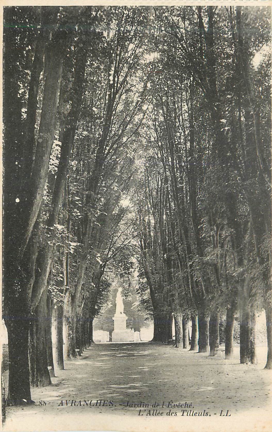 Avranches - Jardin de l'Évêché - L'Allée des Tilleuls