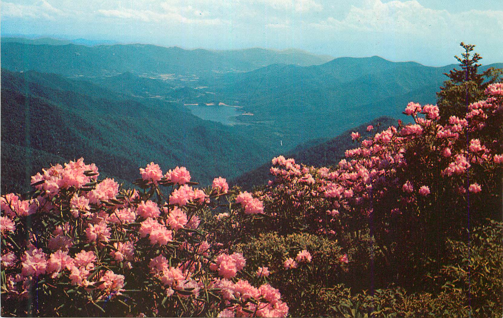 CPM Asheville Watershed Western North Carolina