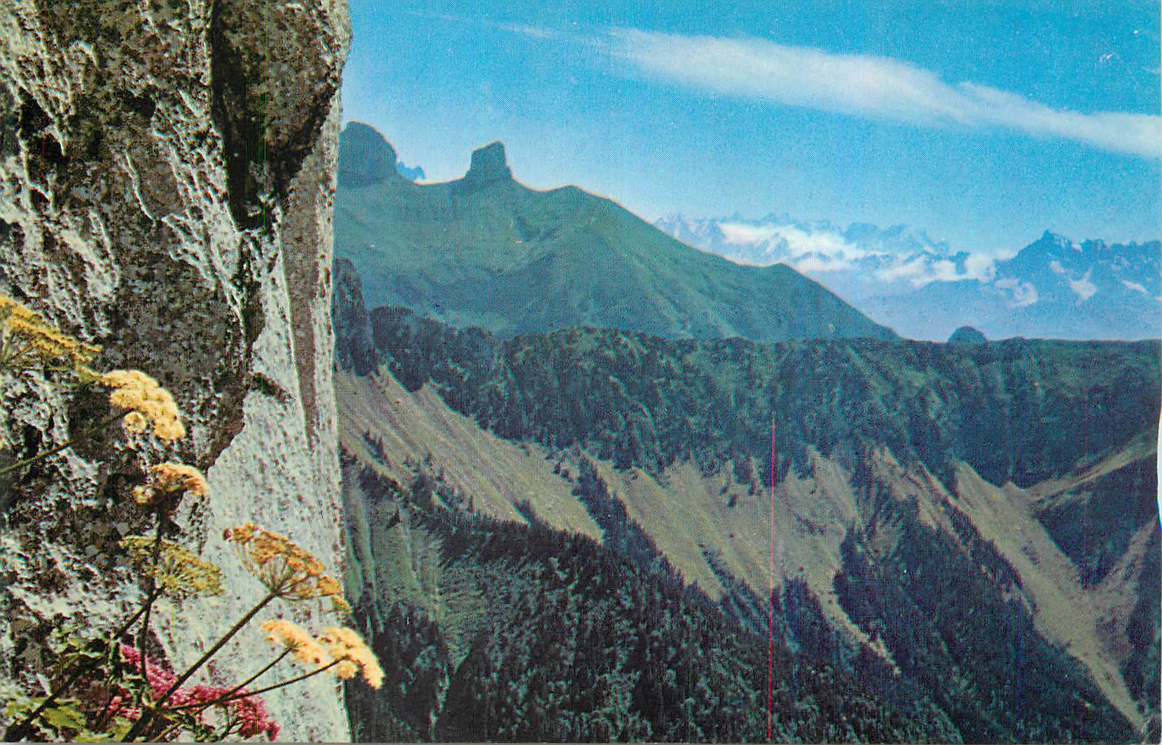CPM Rochers de Naye (2045 m) Les Dents du Midi Les Tour d'Ai et de Mayen