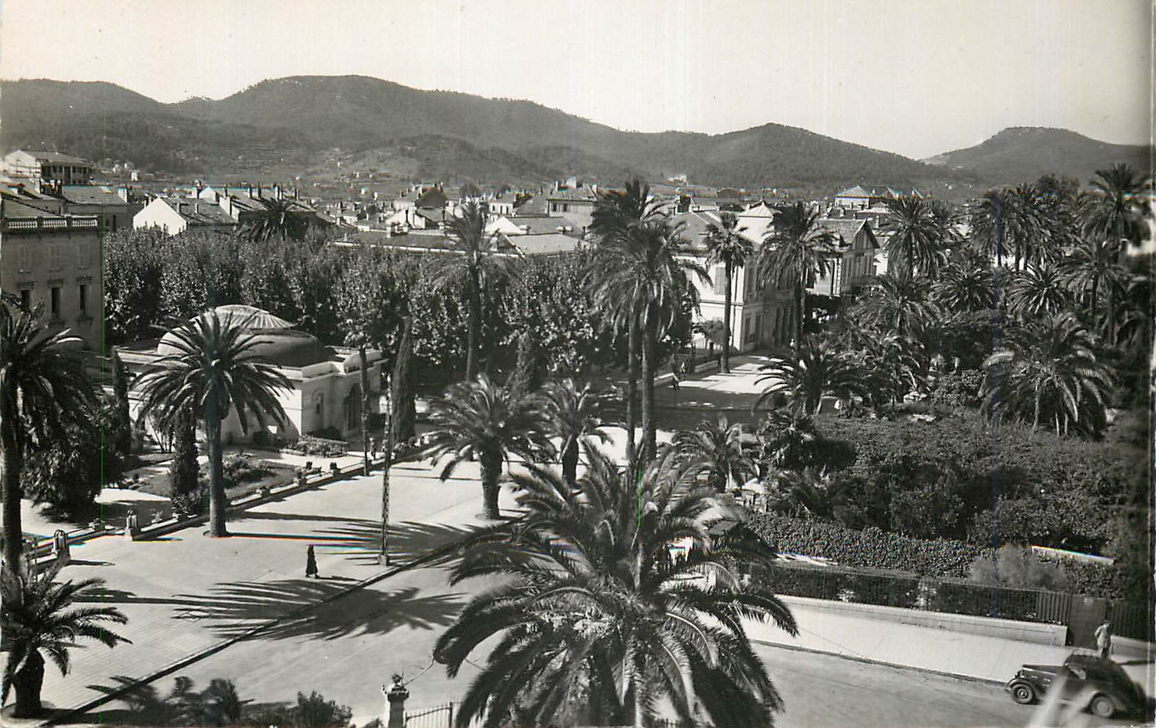 CPM Hyeres les Palmiers Le Littoral Mediterraneen Avenue de Belgique