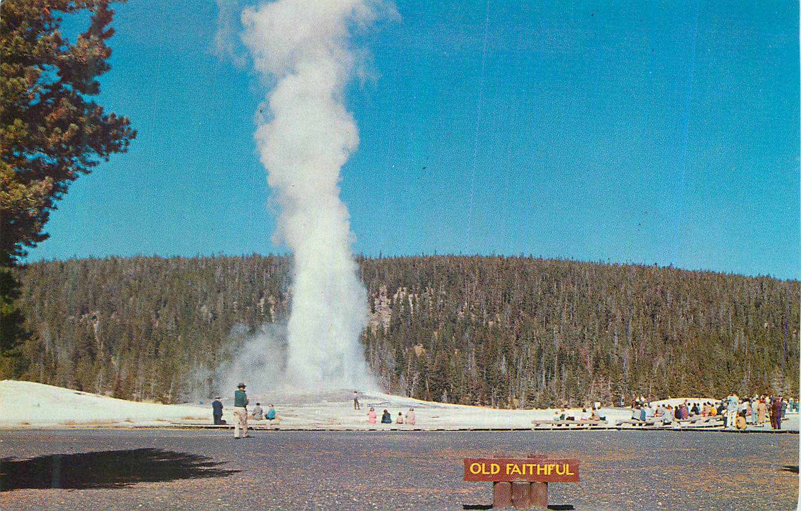 CPM Yellowstone National Park Old Faithful Geyser