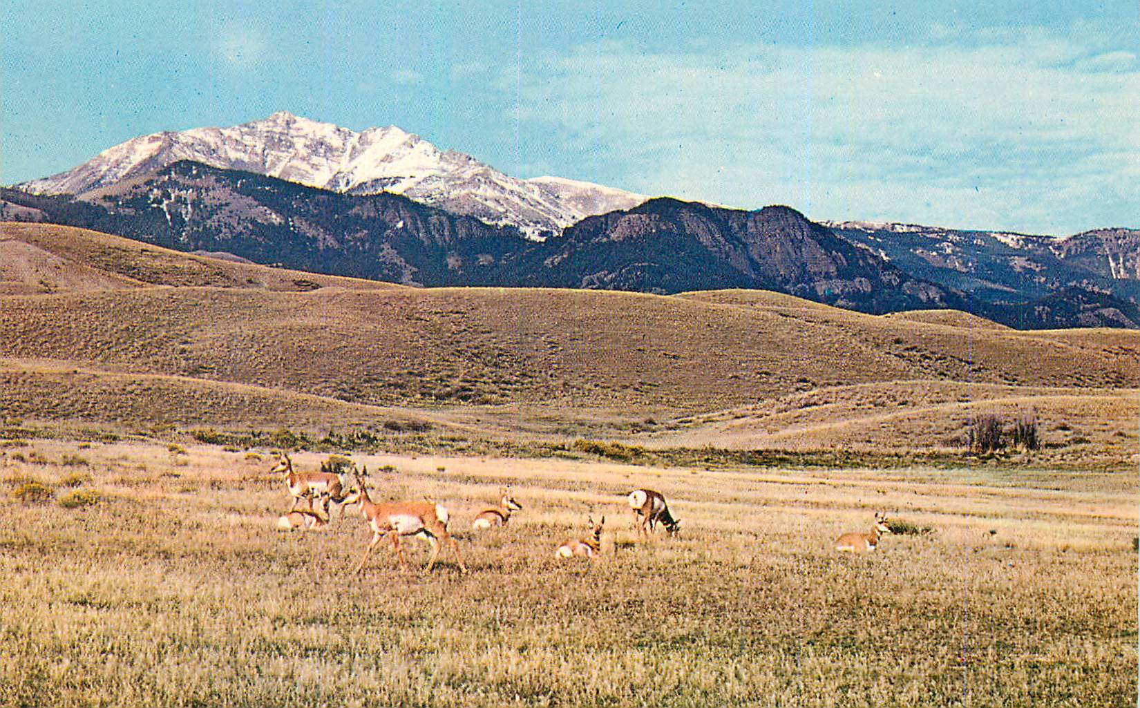 CPM Home on the Range Where the Antelope Play