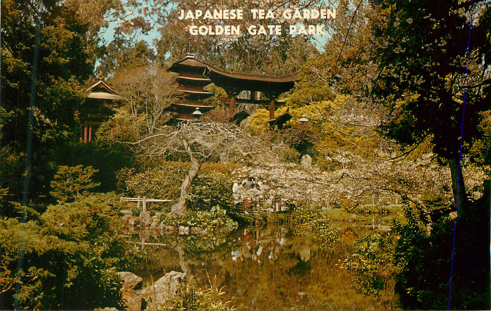 CPM San Francisco Japanese tea Garden Golden Gate Park