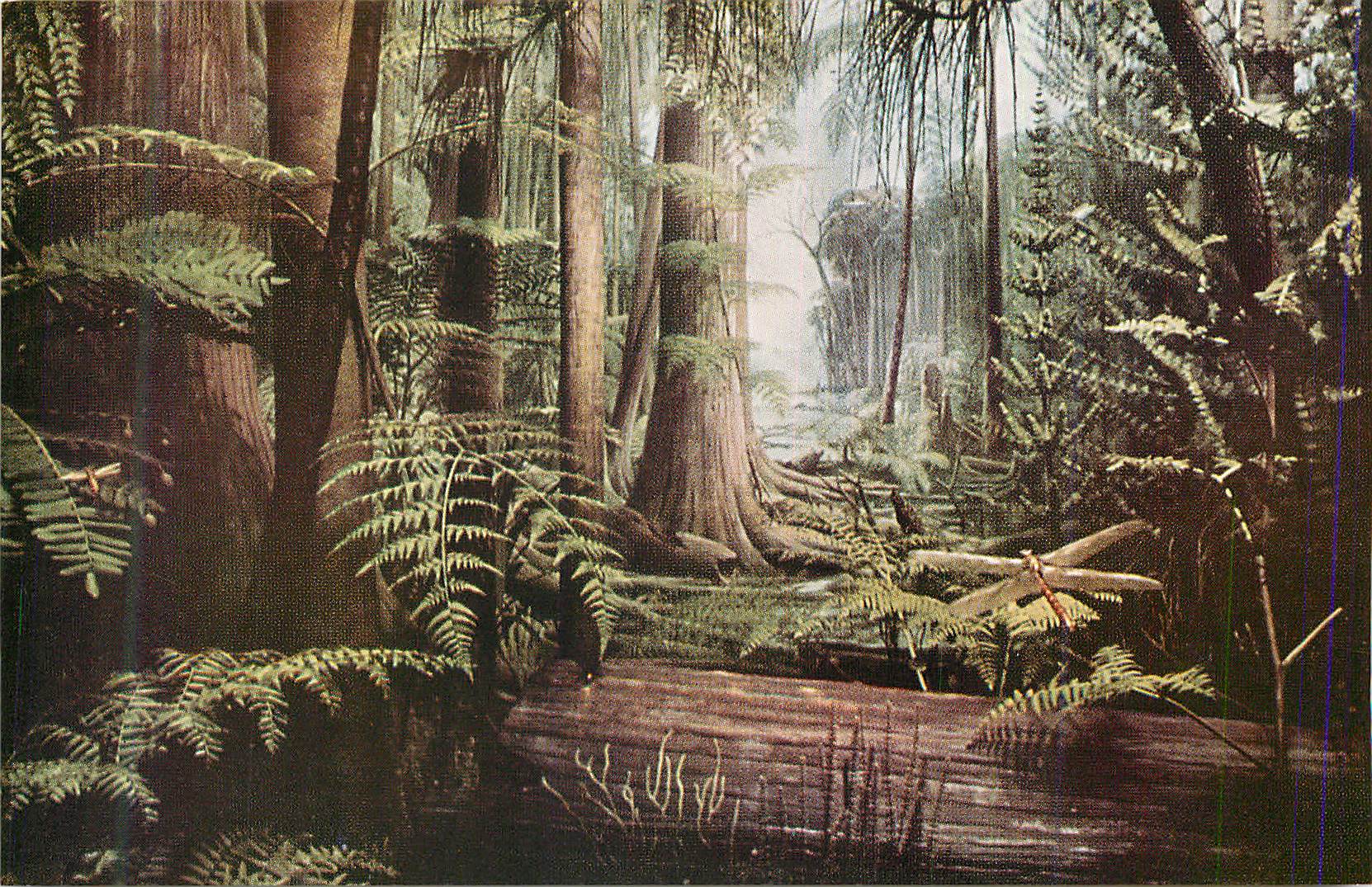 CPM Chicago Natural History Museum Formely Field Museum of Natural History