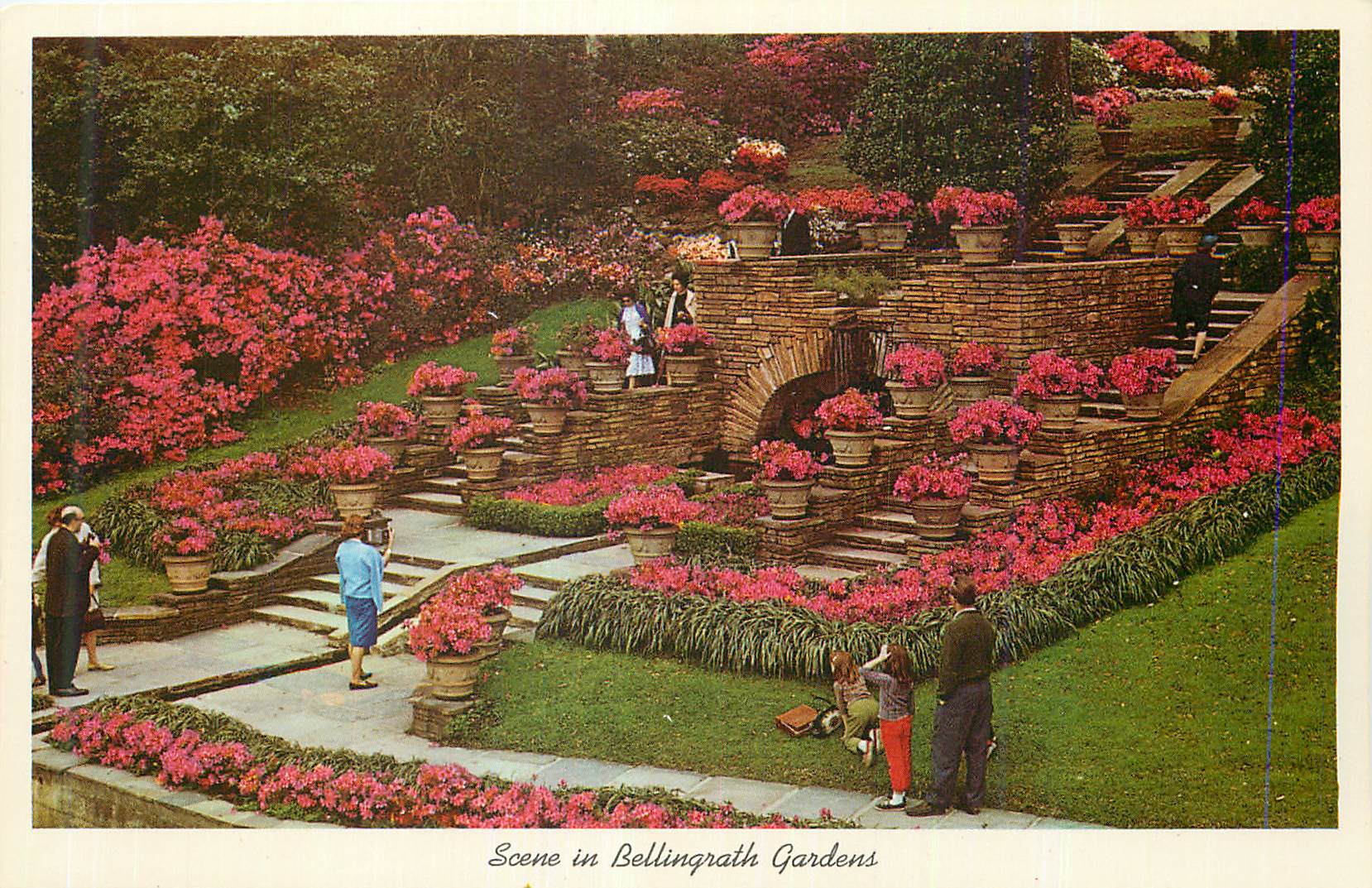 CPM Scene in Bellingrath Gardens Mobile Alabama