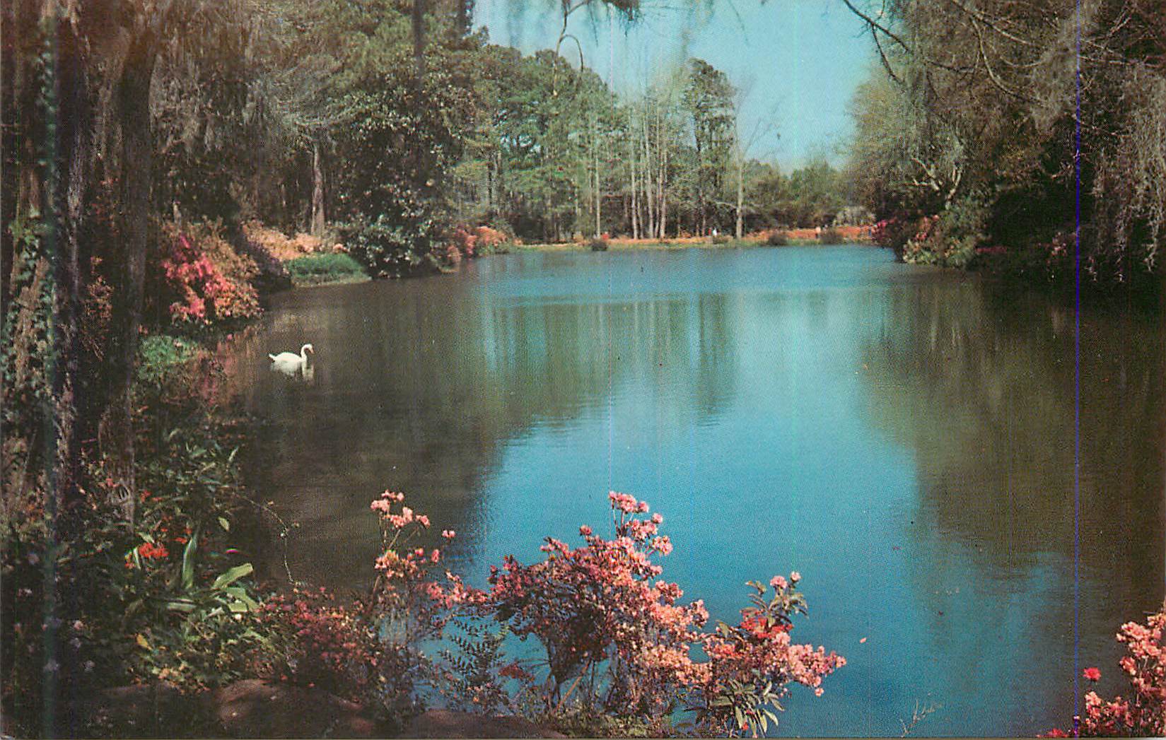 CPM Alabama Beautiful Mirror Lake in Bellingrath Gardens