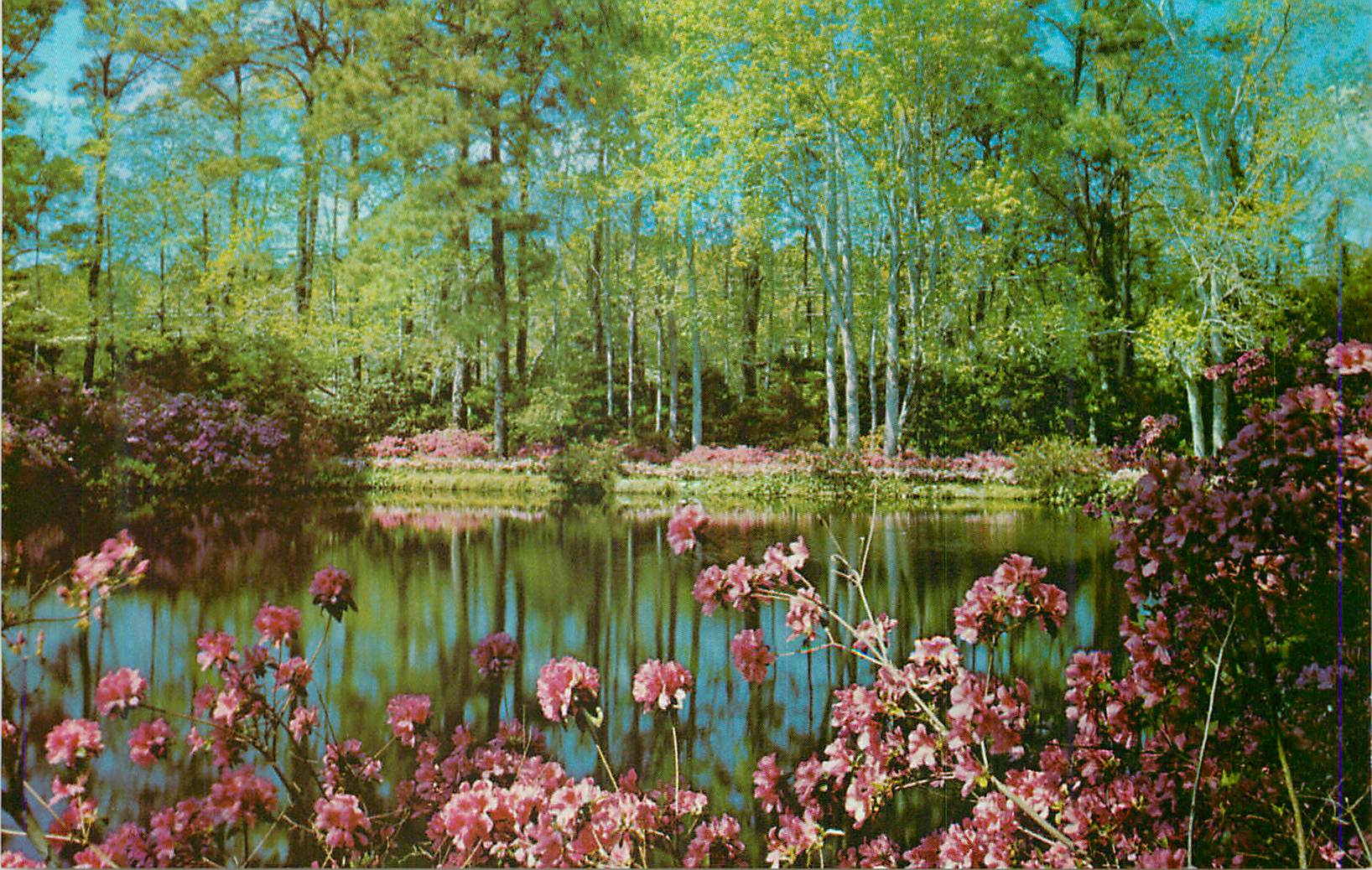 CPM Alabama Scene in Bellingrath Gardens Mobile