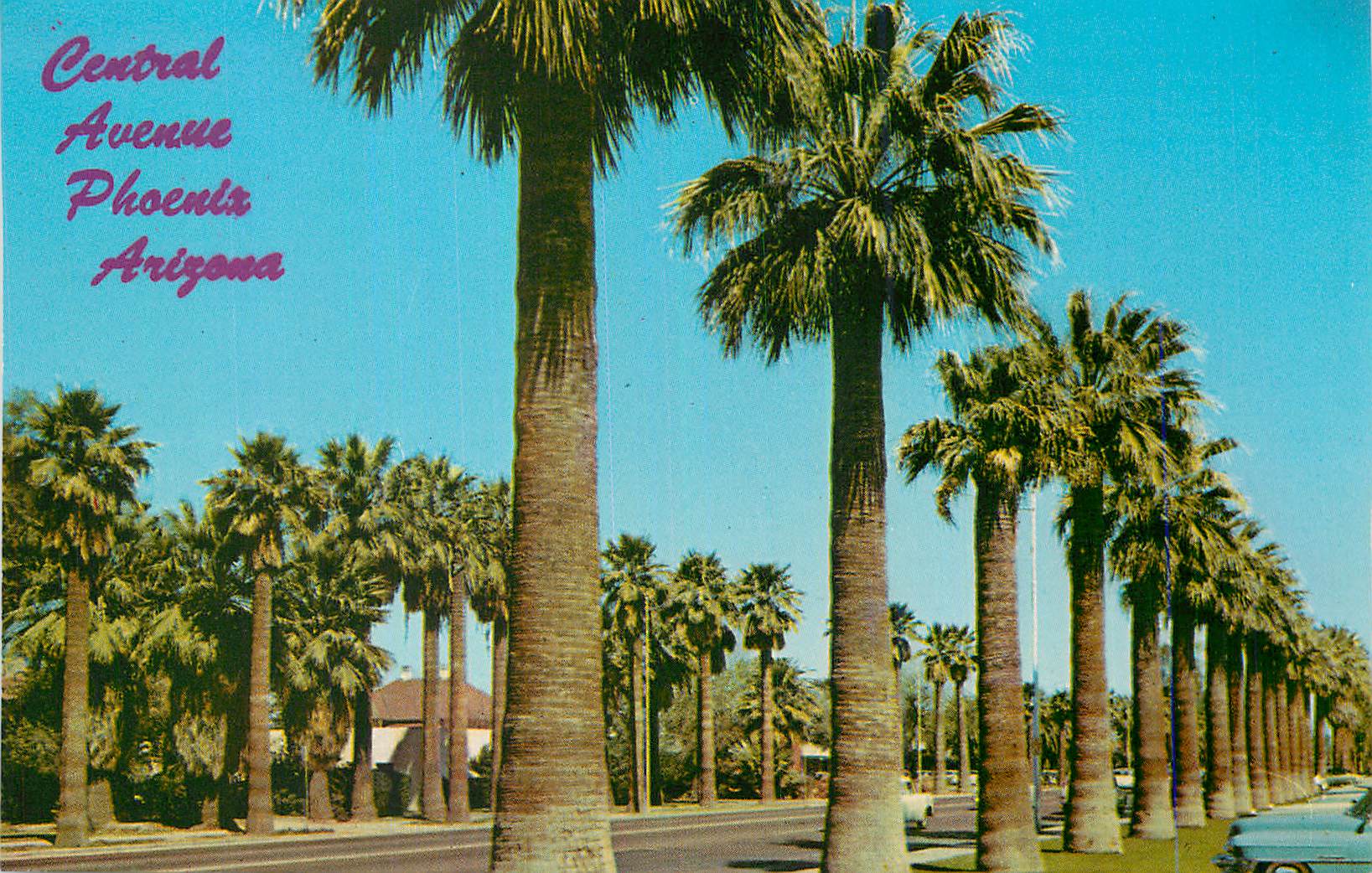 CPM Central Avenue Phoenix Arizona Palm Lined Central Avenue