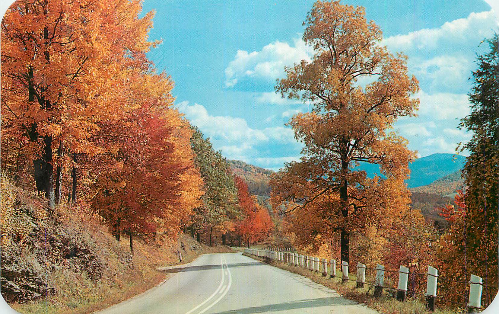 CPA Autumn Colors Along Winding Roads