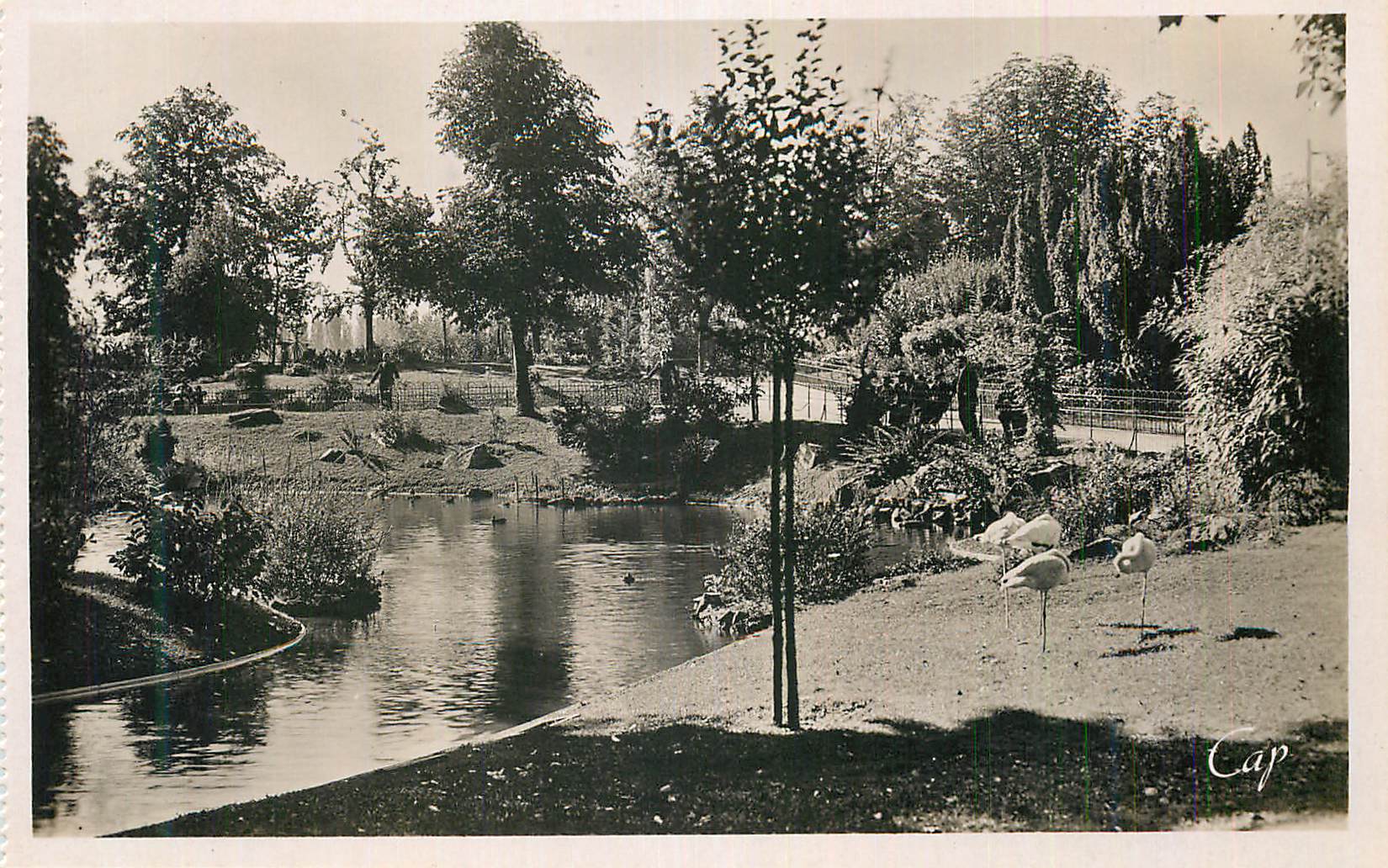 CPM Vichy Le Bassin dans les Nouveaux Parcs