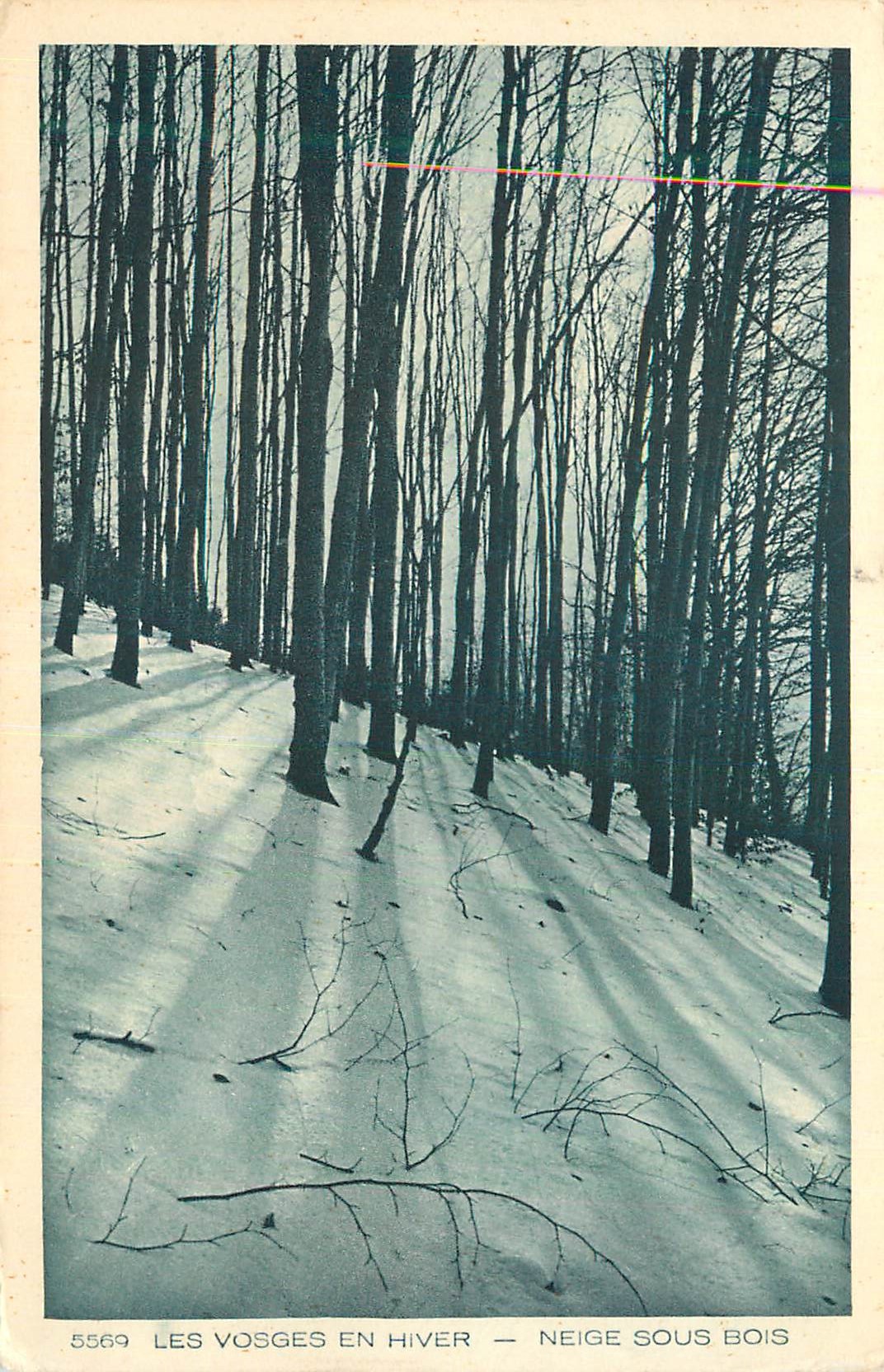 Die Vosges im Winter — Schnee unter den Bäumen — unbekannter Verleger, Nr. 5569