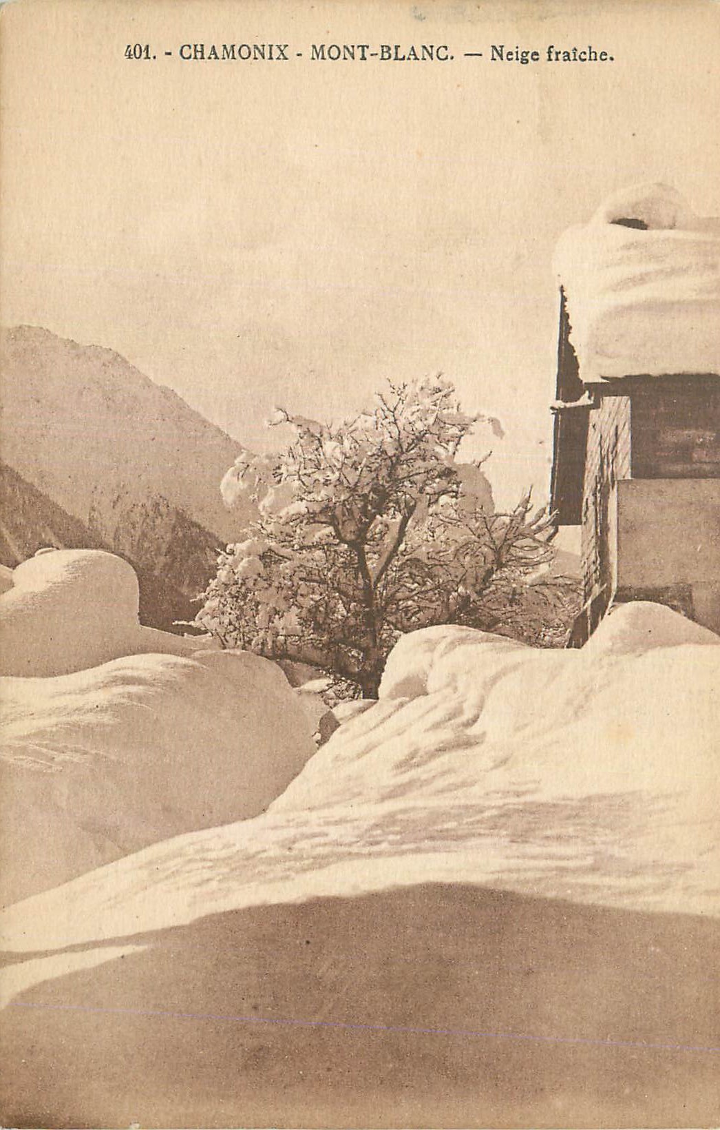 CPA Chamonix Mont Blanc Neige Fraiche