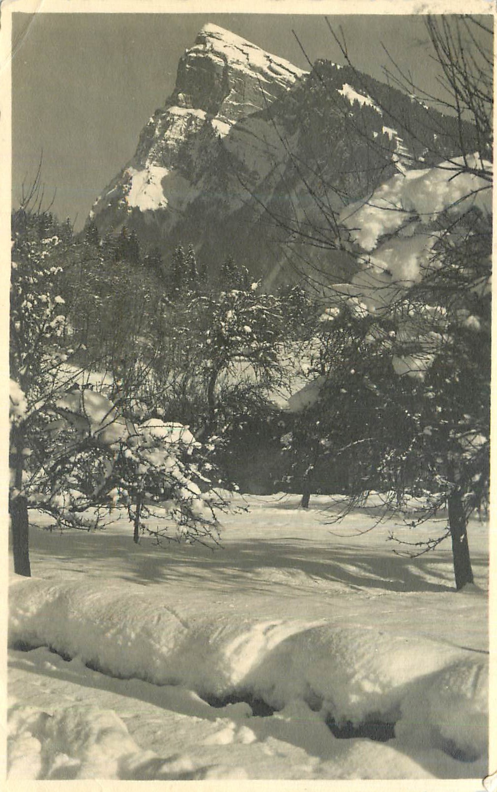 Montagne enneigée — vue hivernale — éditeur non identifiable