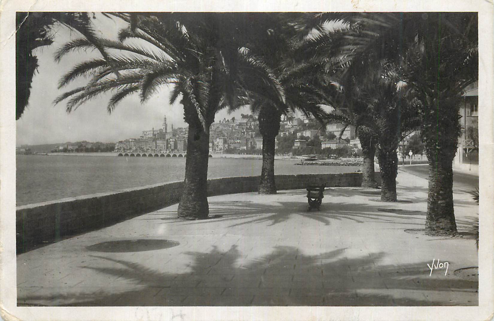 CPM Menton Cote d'Azur La Douce France La Ville vue a Travers les Palmiers