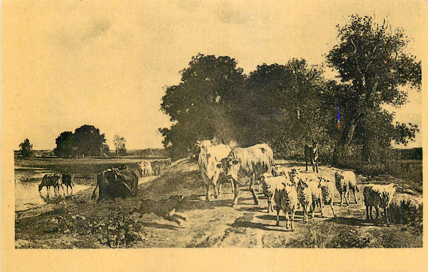 CPA Musee du Louvre Paris  Troyon (Constant Emile) Le Retour a la Ferme
