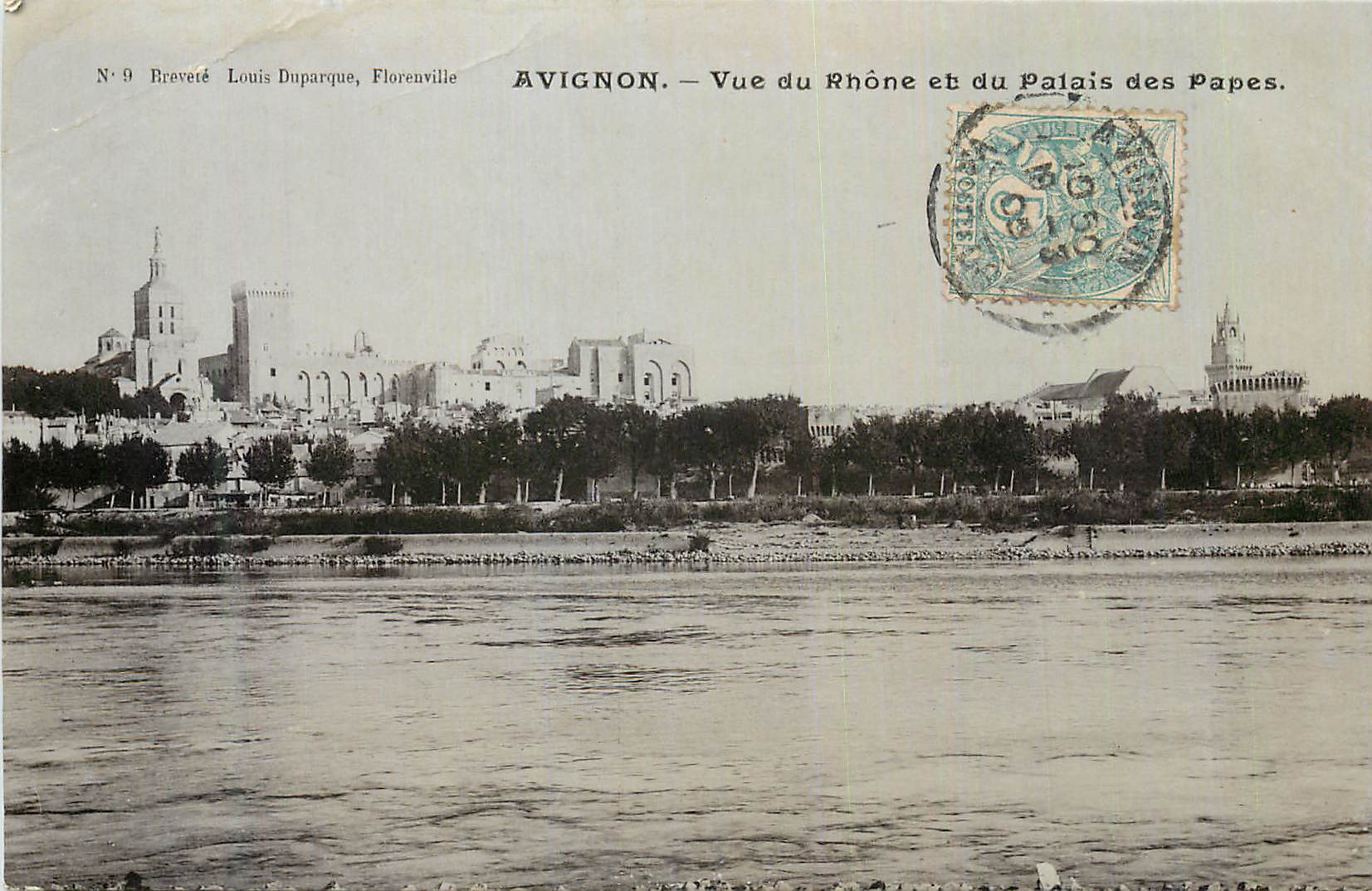CPA Avignon Vue du Rhone et du Palais des Papes