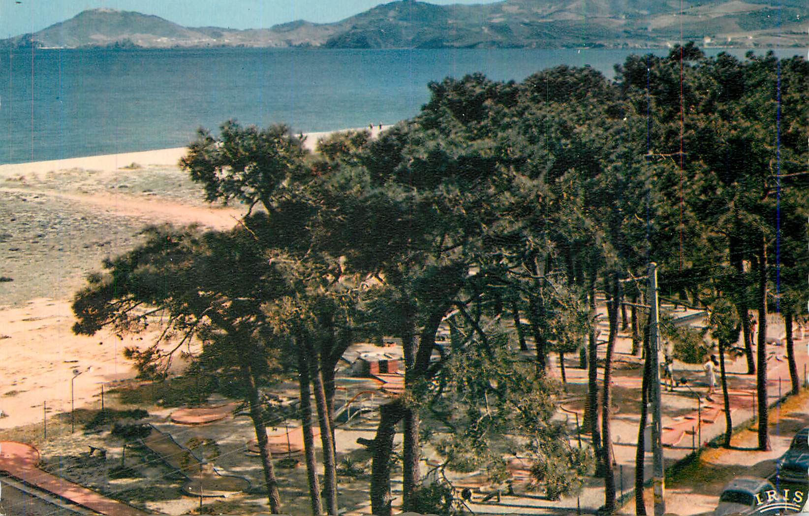 CPM La Cote Vermeille Argeles sur Mer Les Pins La Plage au fond les Alberes