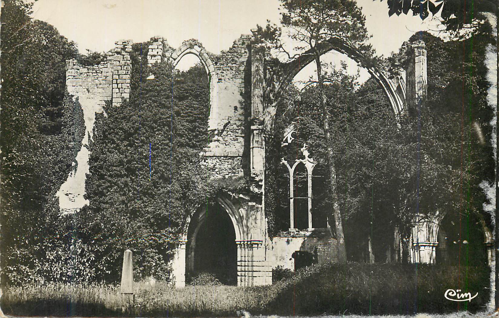 CPM Dammarie les Lys (S et M) Ruines du Chateau de Lys