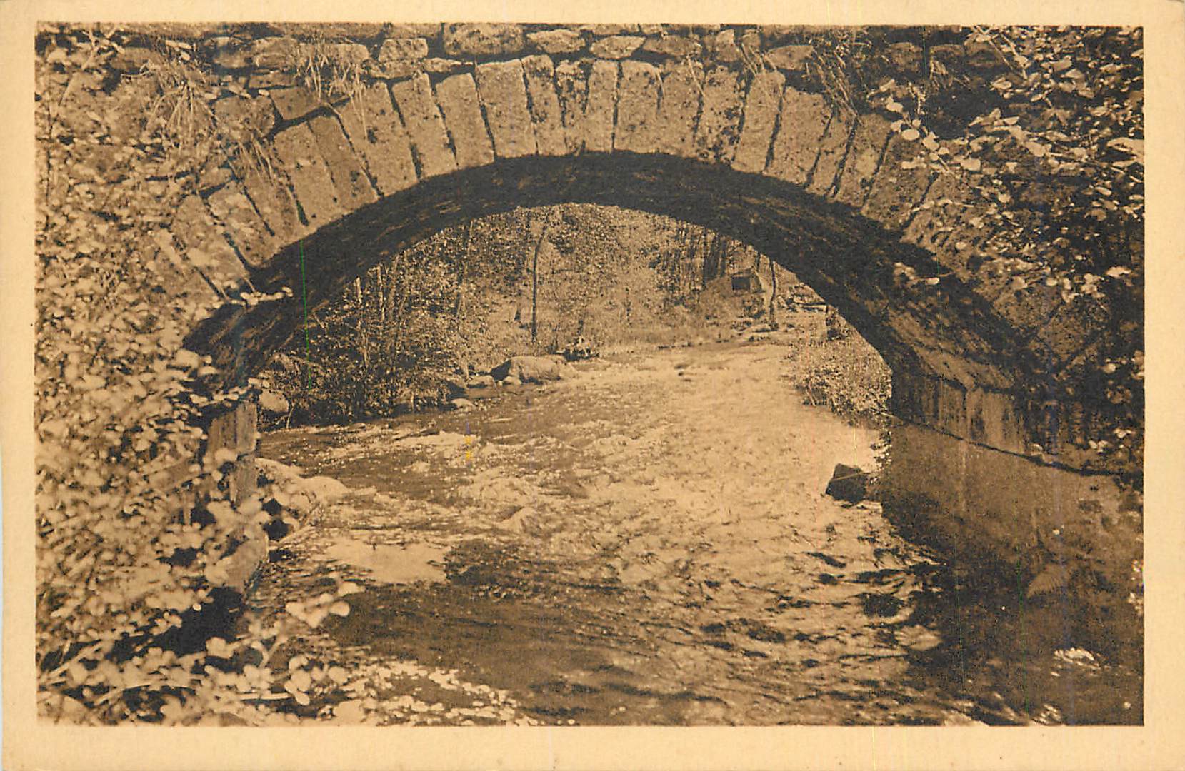 CPA Abbaye de la Pierre qui Vire (Yonne) Le Pont sur le Trinquelin et la IIIe Station du Chemin de Croix