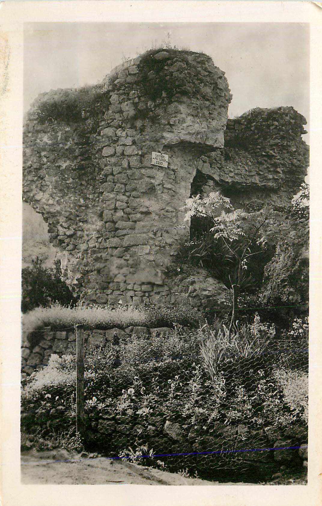 CPM Lormes (Nievre) La Tour aux Loups (XIIe S)