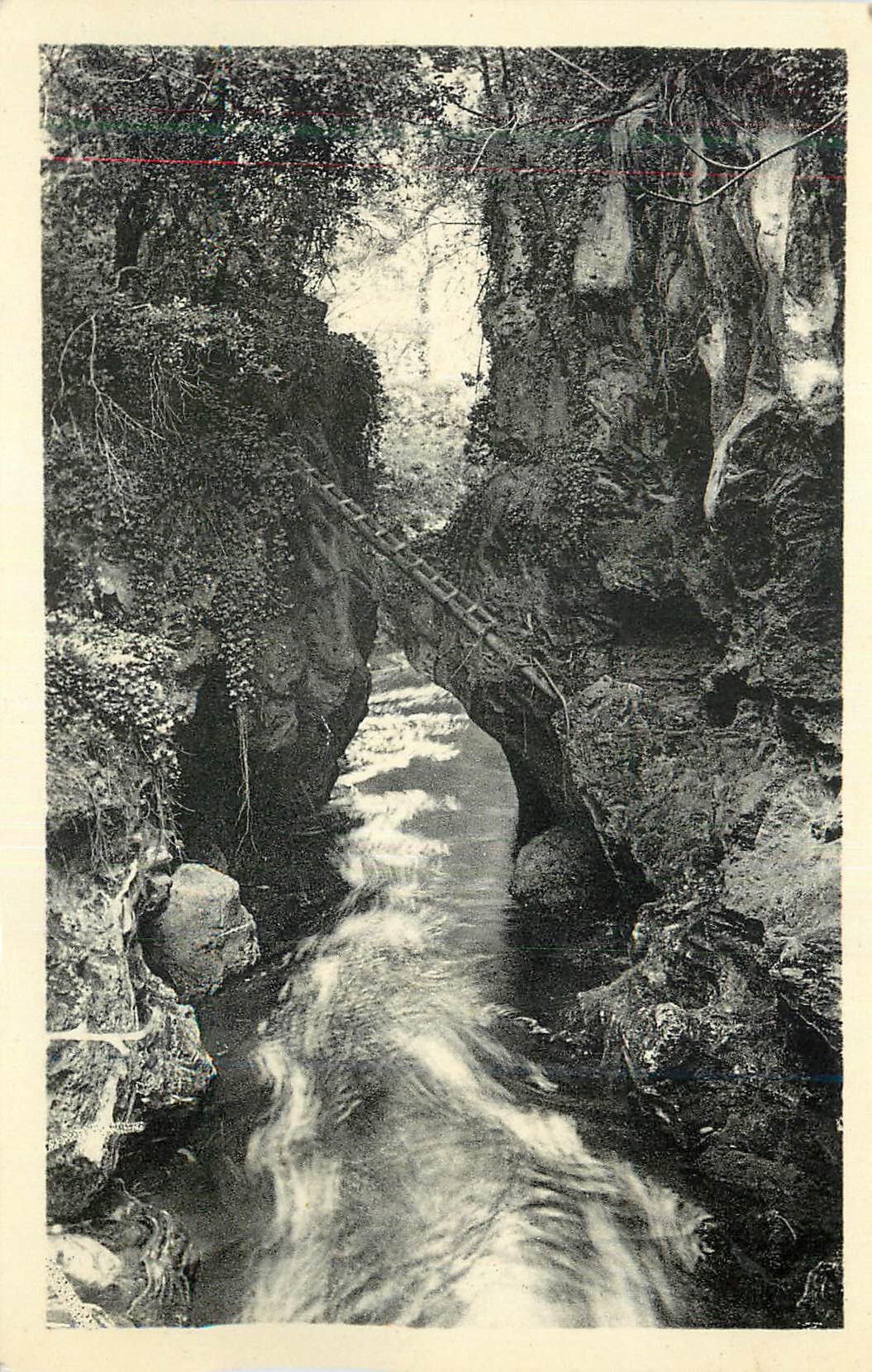 CPM Trans (Var) Les Gorges de la Nartuby