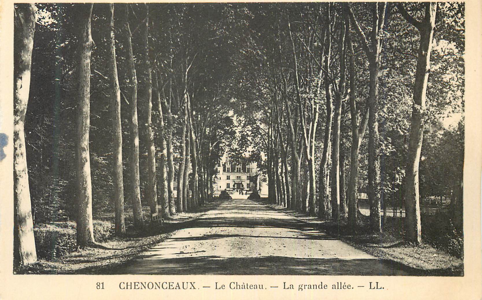 CPA Chenonceaux Le Chateau La Grande Allee