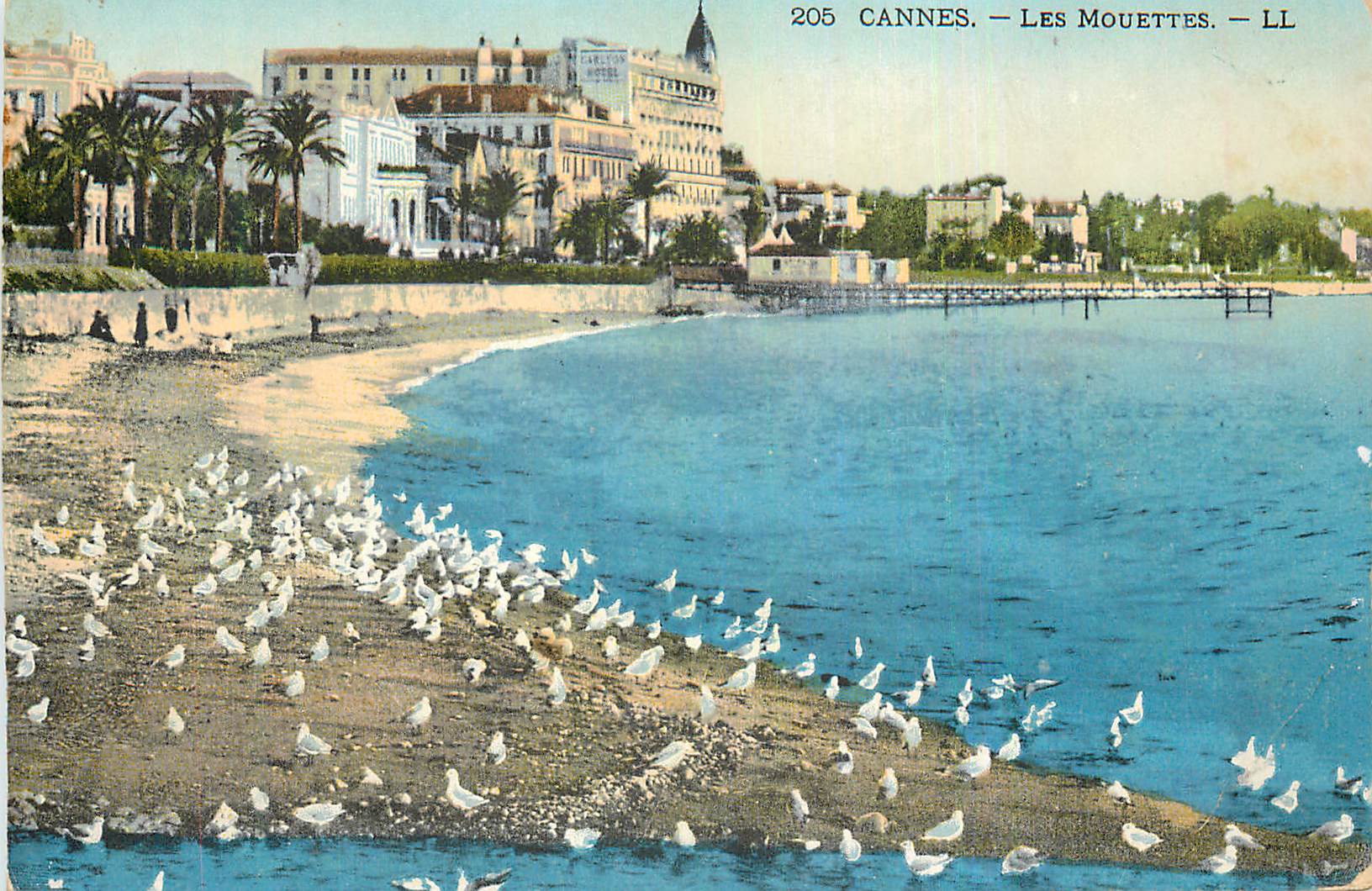 CPA Cannes Les Mouettes
