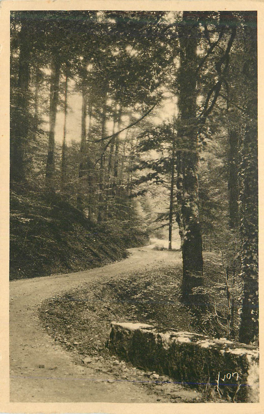 Route forestière — Forêt de Fontainebleau — éditeur non identifié, n° de série 107