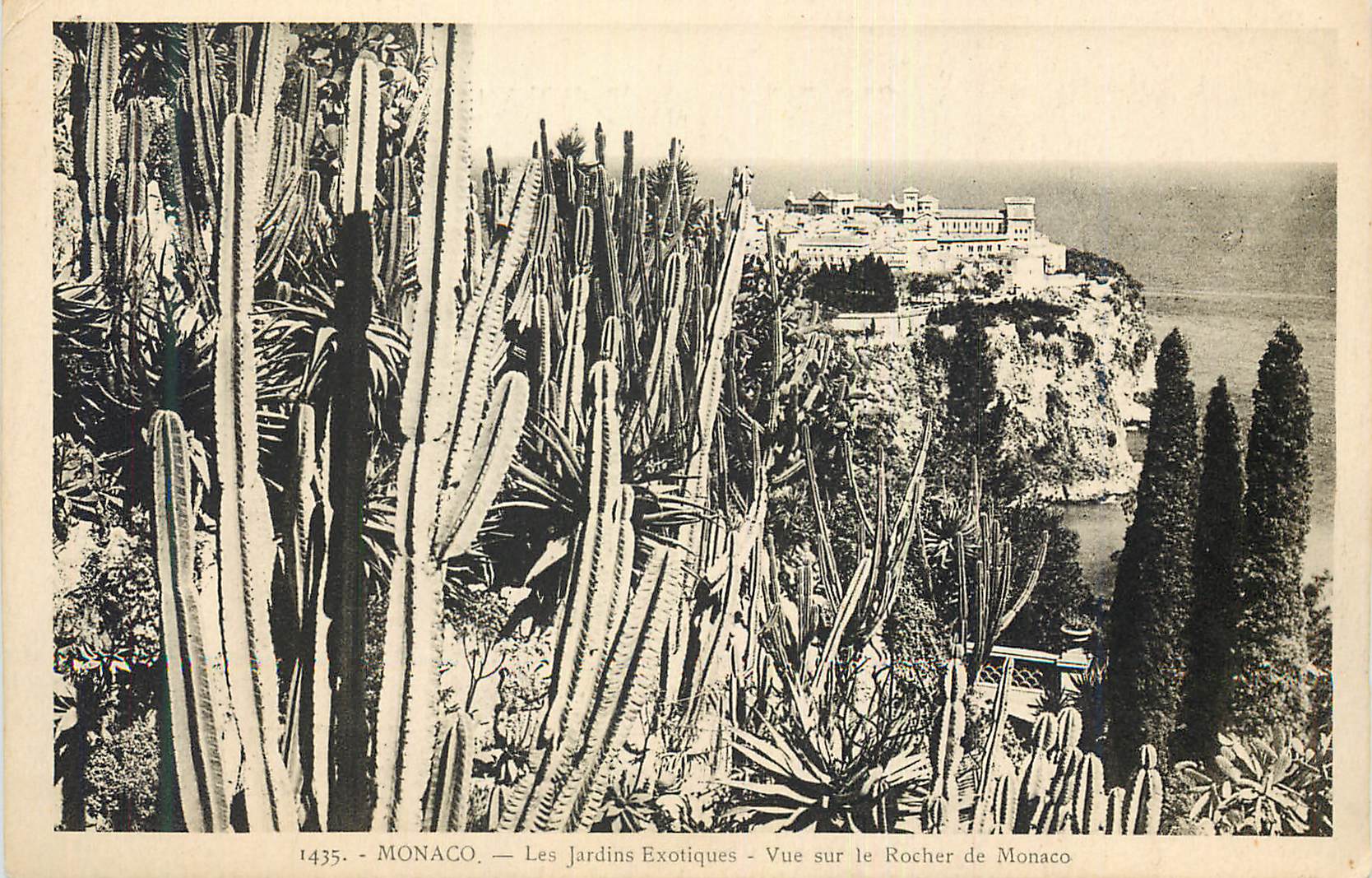 CPA Monaco Les Jardins Exotique Vue sur le Rocher de Monaco