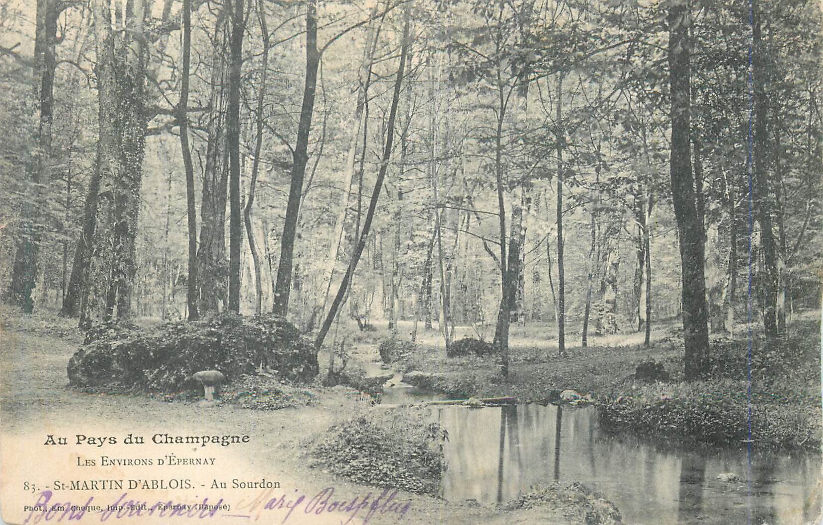 CPA Au Pays du Champagne Les Environs d'Epernay St Martin d'Ablois Au Sourdon