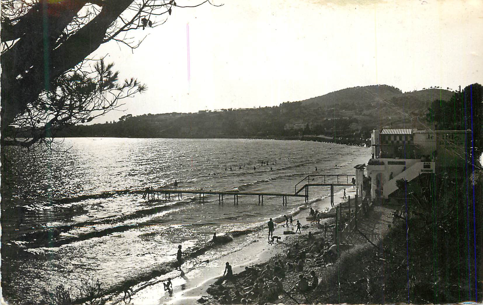 CPM Sanary Soleil couchant sur la plage Doree
