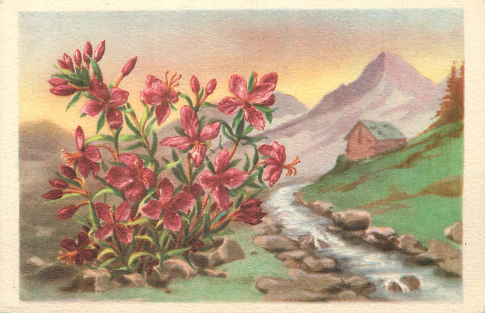 CPA Fleurs