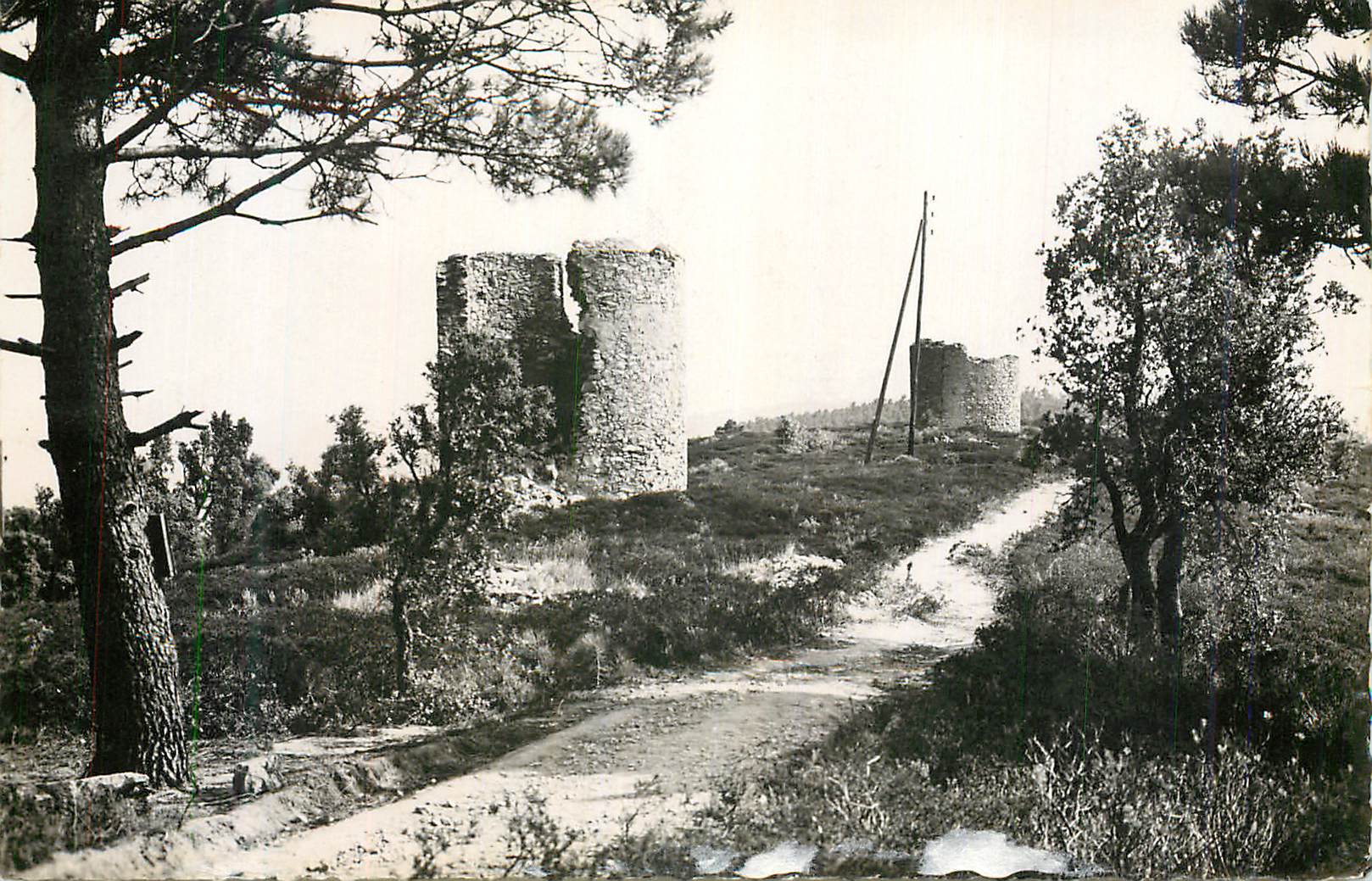 CPM Ramatuelle Les Moulins de Paillas La Cote d'Azur