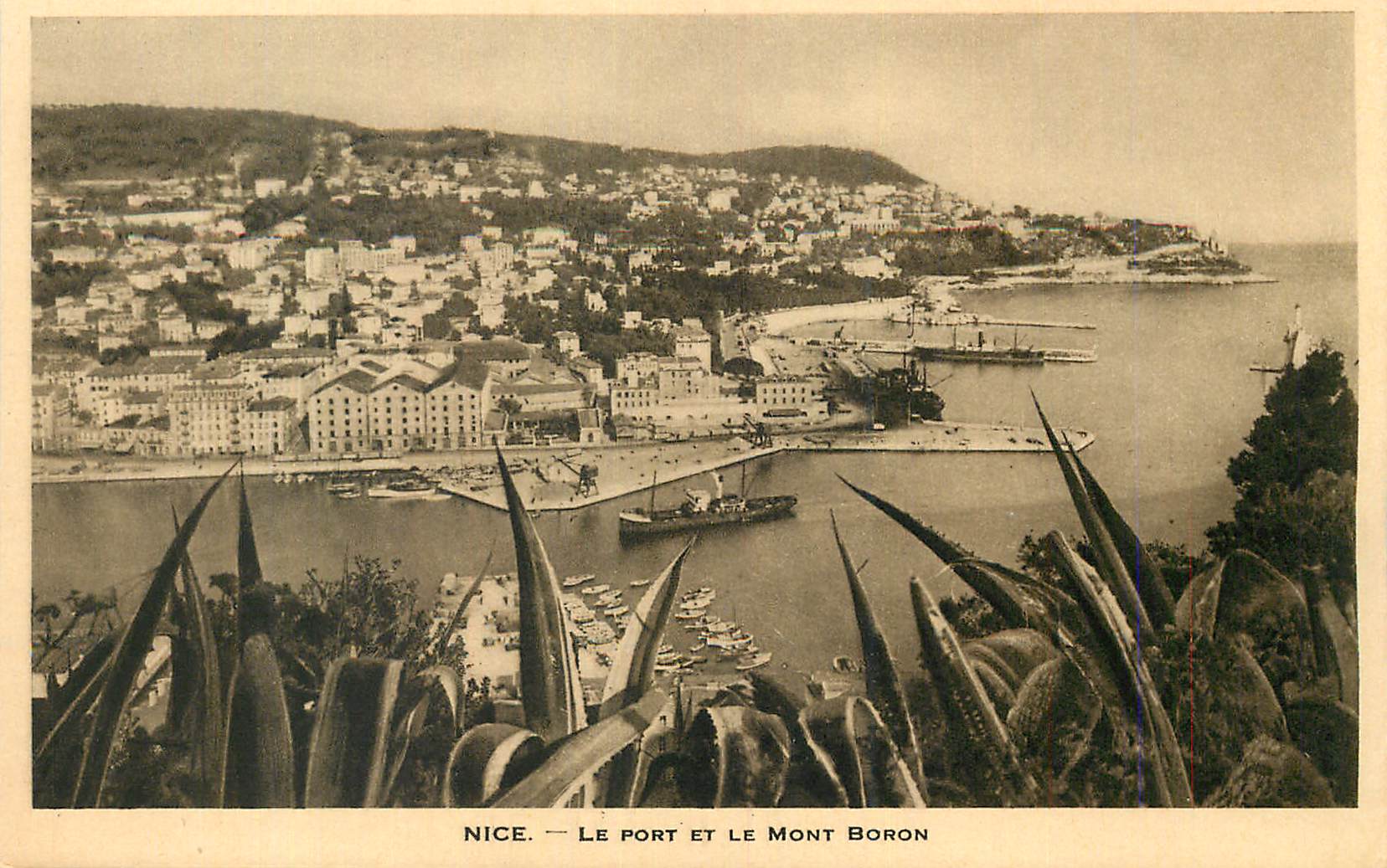 CPA Nice Le Port et le Mont Boron