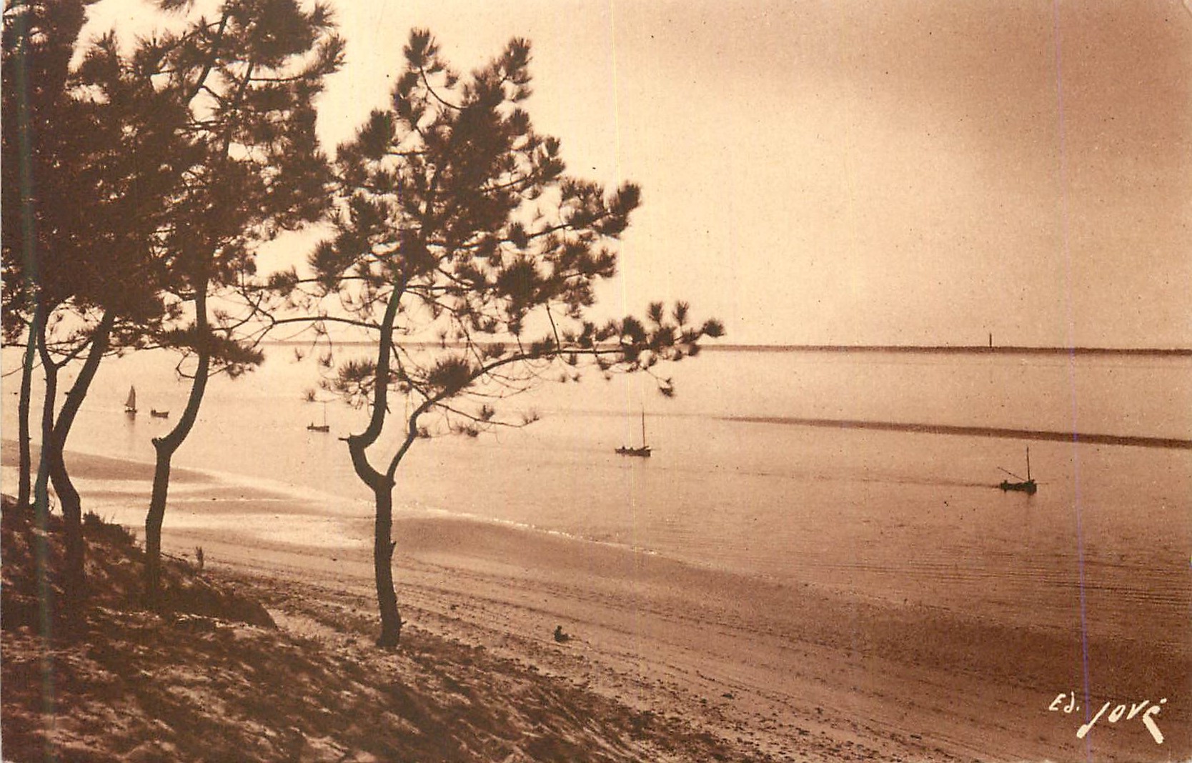 Plage de La Rochelle — vue depuis les pins — Ed. Jovi